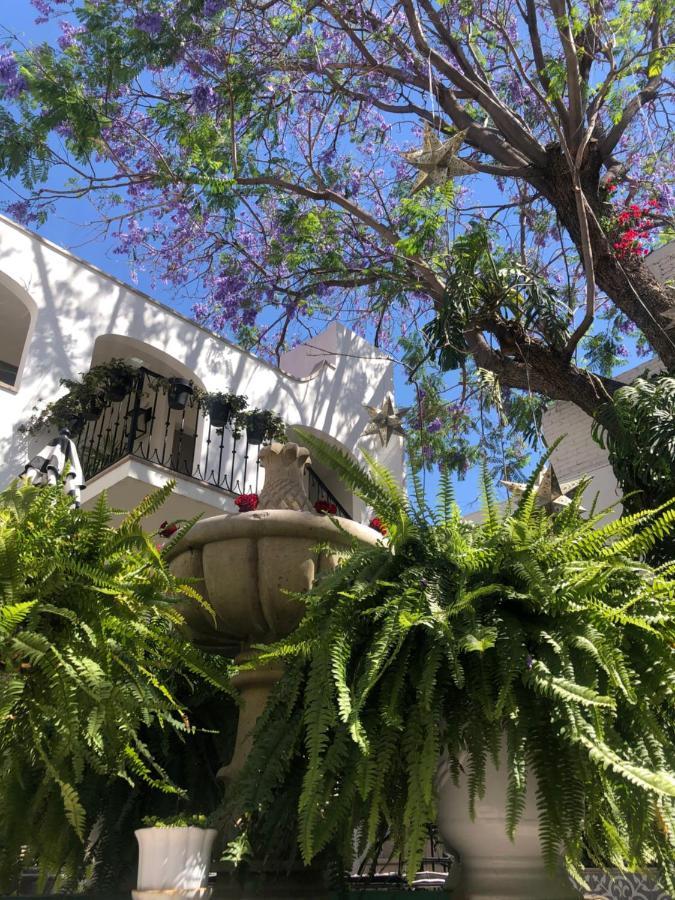 Casa Lani Luxury B&B San Miguel de Allende Exterior photo